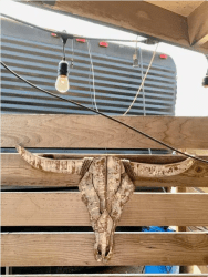 Screen Shot 2019-10-27 at 8.26.11 AM.png