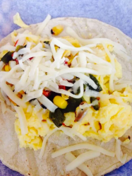 Screen Shot 2019-10-27 at 8.31.25 AM.png