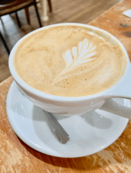 Screen Shot 2019-12-14 at 11.25.29 AM.png