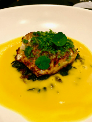 Screen Shot 2020-04-12 at 10.53.18 AM.png