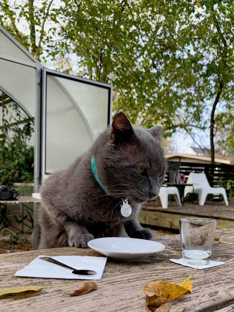 This image has an empty alt attribute; its file name is img_4167-1.jpeg